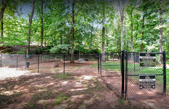 Lullwater at Bass | Bark Park